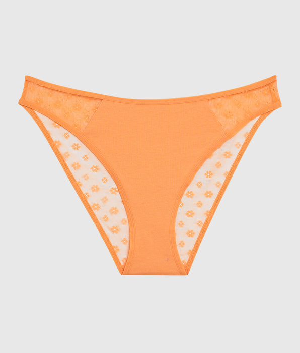 La Senza Mesh Bikini Panty