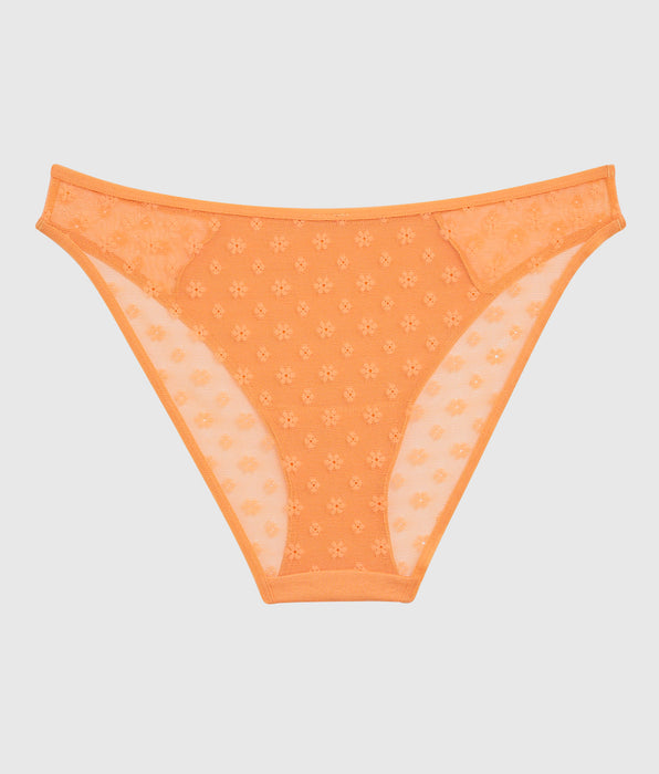 La Senza Mesh Bikini Panty
